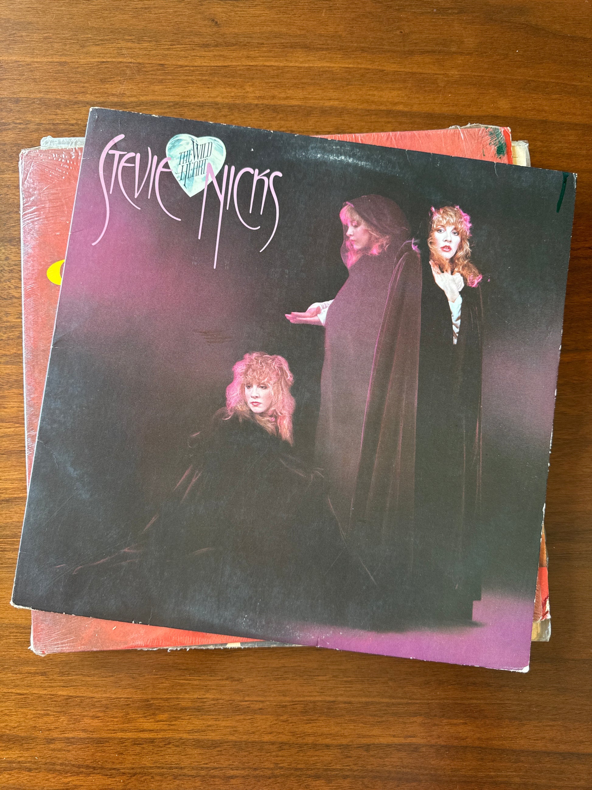 80s Stevie Nicks The Wild Heart Record