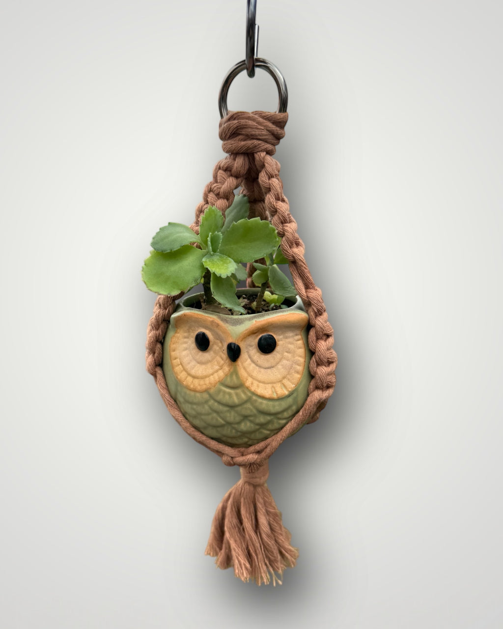 Handmade Mini Macrame Plant Hanger