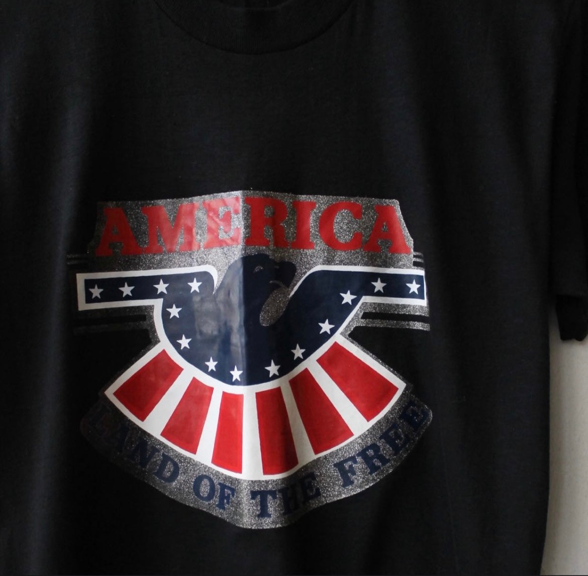 80s America Land of the Free Iron On Graphic Tee